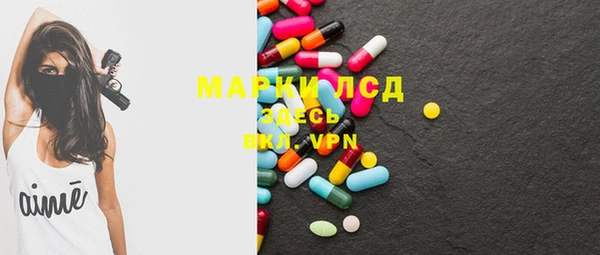 ECSTASY Алзамай