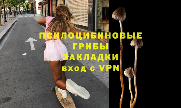бошки Алексеевка
