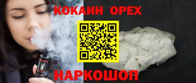 индика Новодвинск