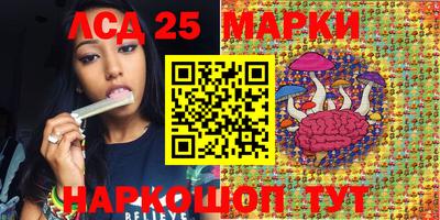 индика Новодвинск