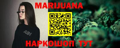 индика Новодвинск