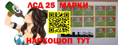 индика Новодвинск