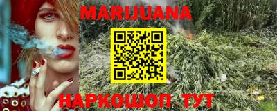 гидропоника Новозыбков