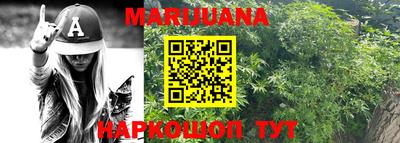 индика Новодвинск