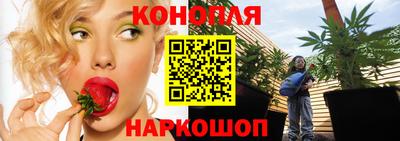индика Новодвинск