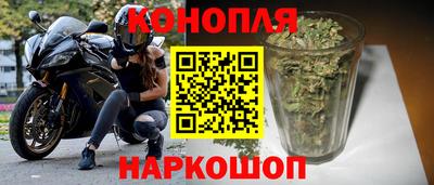 гидропоника Новозыбков