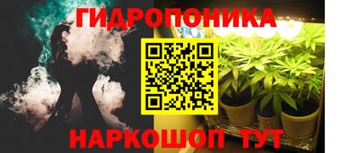 индика Новодвинск