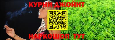 индика Новодвинск
