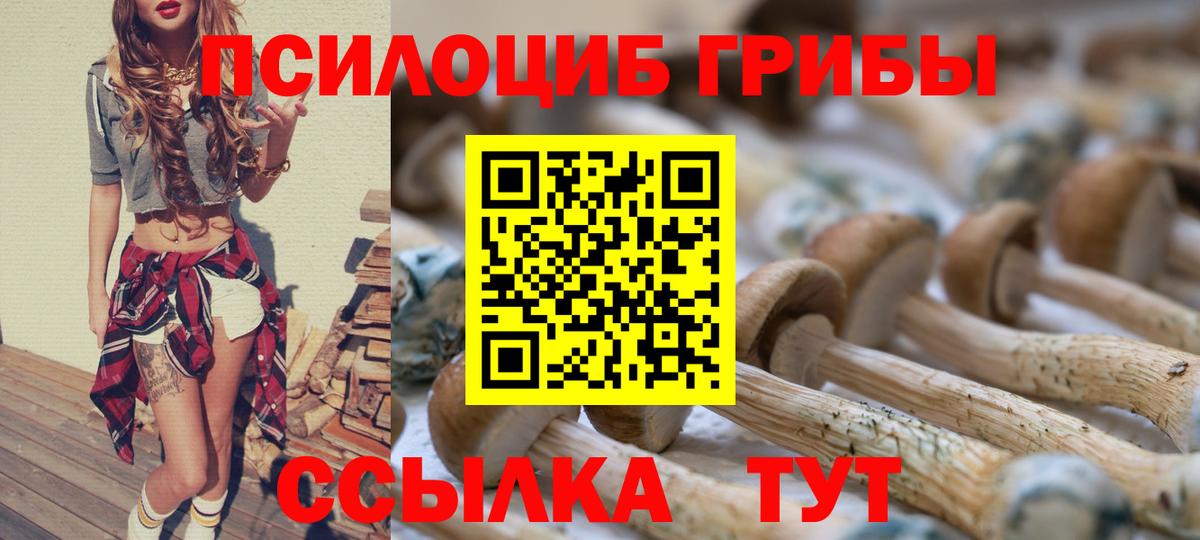 Галлюциногенные грибы Cubensis Чистополь
