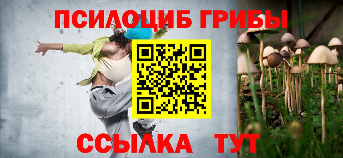 Псилоцибиновые грибы мицелий  Галлюциногенные грибы мухоморы  Чистополь  Вход с VPN 